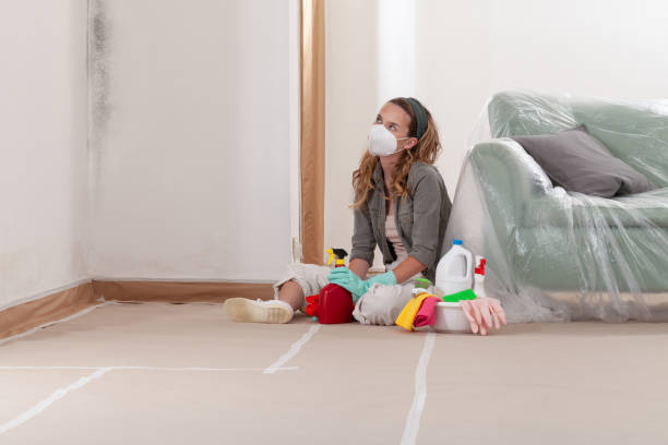Reliable Mold Testing contractor in Phoenix, MD by WQB Mold Removal